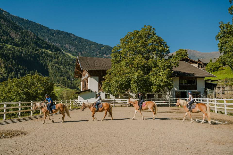 Your riding hotel in South Tyrol - Andreus Resorts